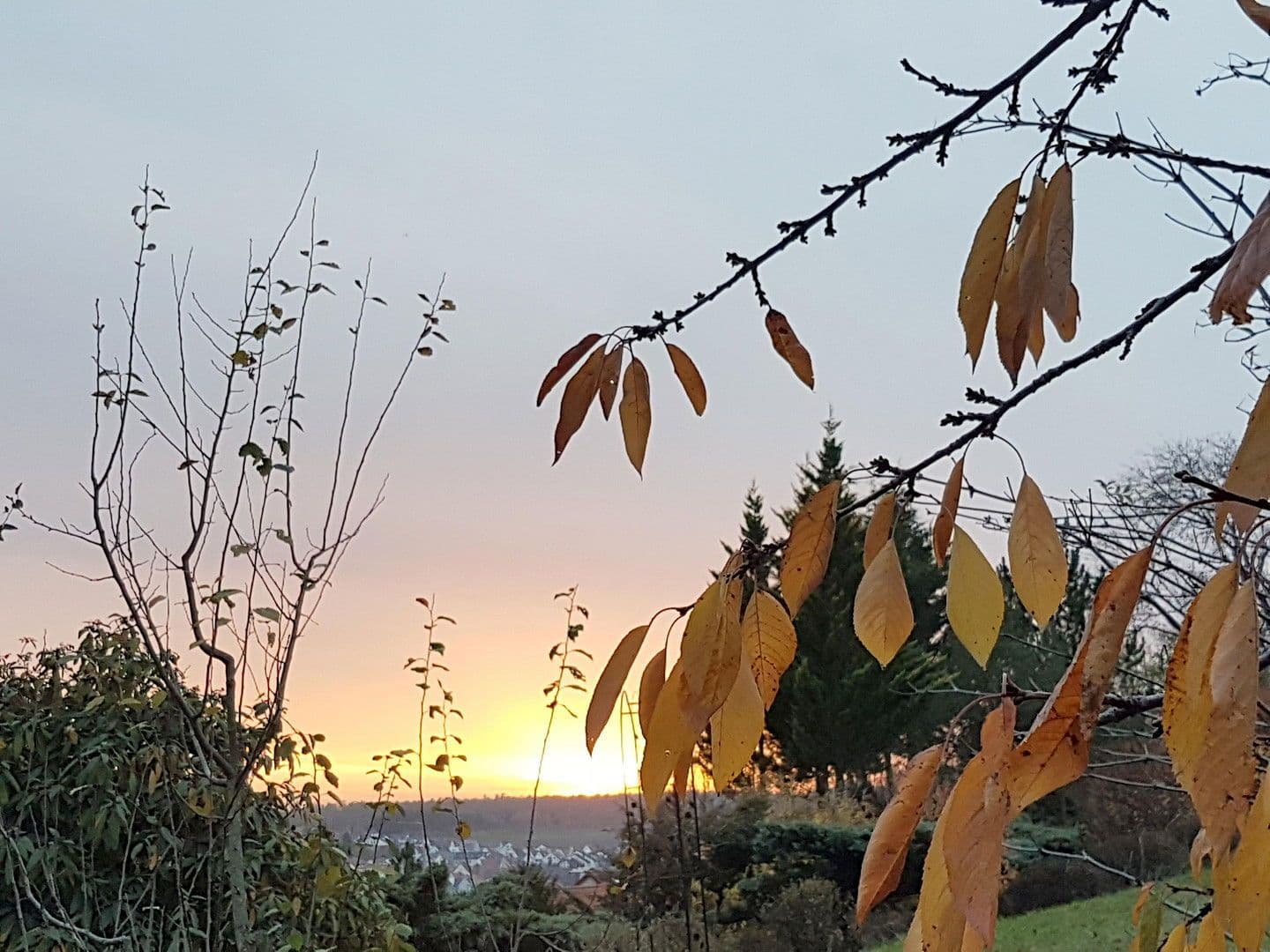 house to rent, 259 m², Wimsheim, Baden-Württemberg house to rent, 259 m², Wimsheim, Baden-Württemberg