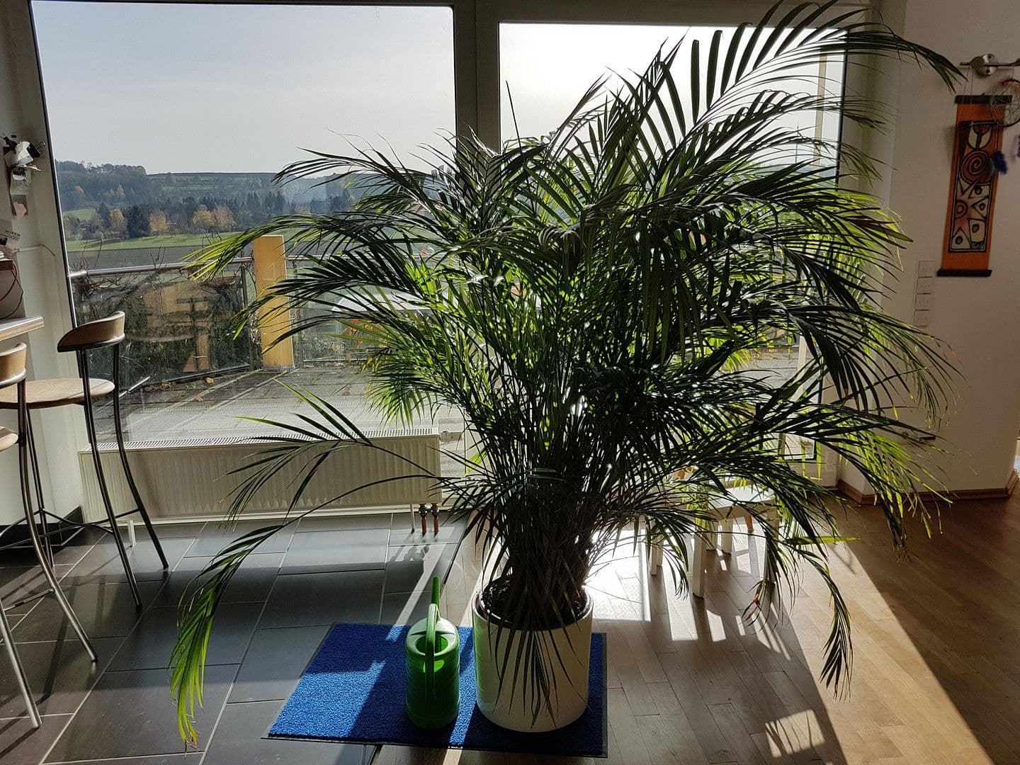 house to rent, 259 m², Wimsheim, Baden-Württemberg house to rent, 259 m², Wimsheim, Baden-Württemberg