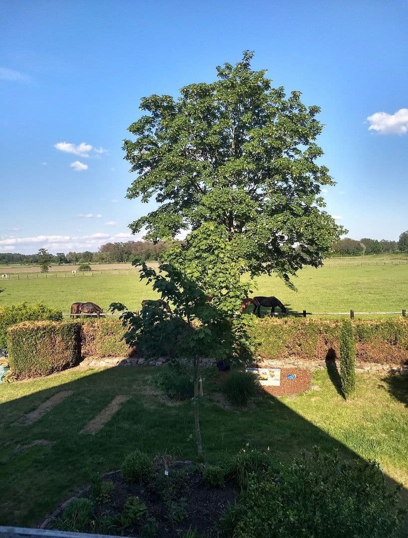 6 bedroom flat to rent, 150 m², Fürstengrund 18, Nordwalde, North Rhine-Westphalia 6 bedroom flat to rent, 150 m², Fürstengrund 18, Nordwalde, North Rhine-Westphalia