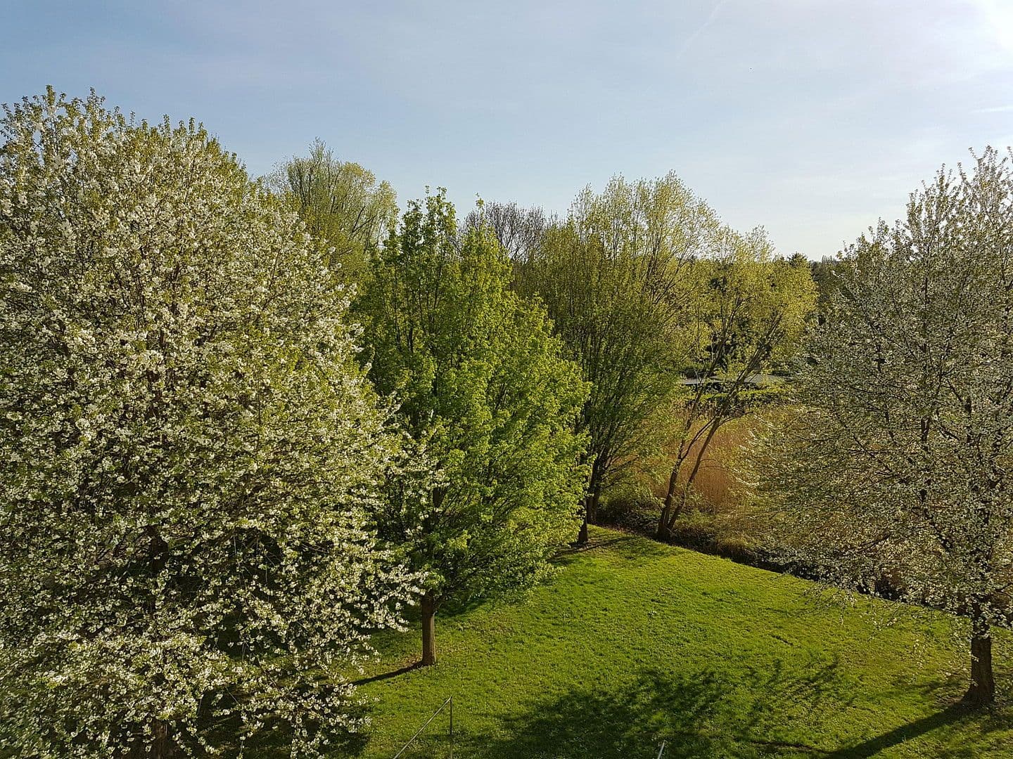 3 bedroom flat to rent, 64 m², Otto - Dix - Ring 38, Dresden, Saxony 3 bedroom flat to rent, 64 m², Otto - Dix - Ring 38, Dresden, Saxony