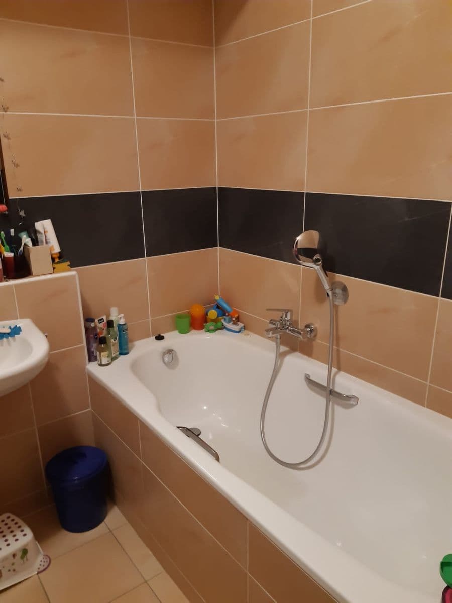 1 bedroom with open-plan kitchen flat to rent, 54 m², Laudonova, Prague, Prague 1 bedroom with open-plan kitchen flat to rent, 54 m², Laudonova, Prague, Prague