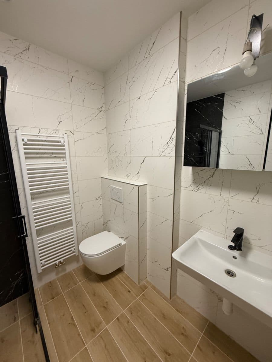 1 bedroom with open-plan kitchen flat to rent, 50 m², Blatného, Brno, Jihomoravský Region 1 bedroom with open-plan kitchen flat to rent, 50 m², Blatného, Brno, Jihomoravský Region