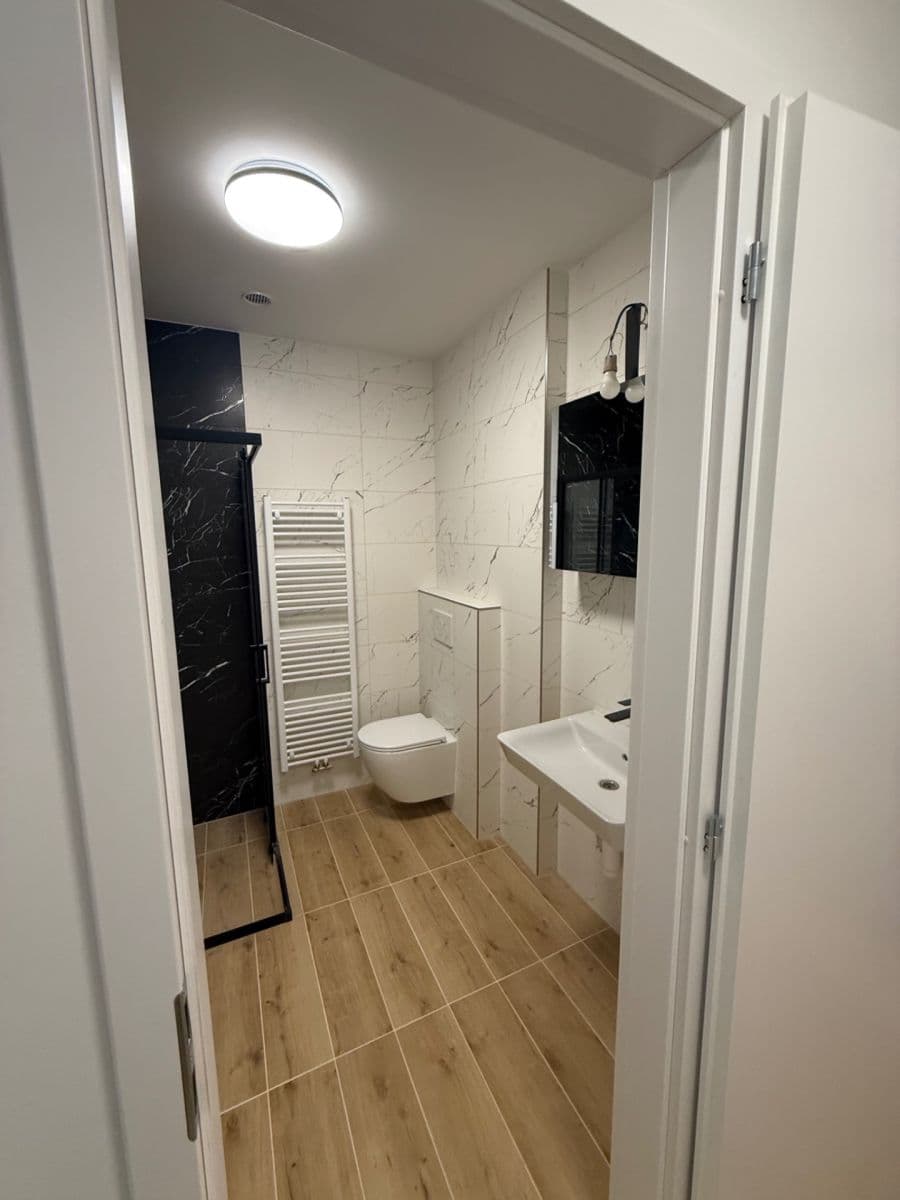 1 bedroom with open-plan kitchen flat to rent, 50 m², Blatného, Brno, Jihomoravský Region 1 bedroom with open-plan kitchen flat to rent, 50 m², Blatného, Brno, Jihomoravský Region