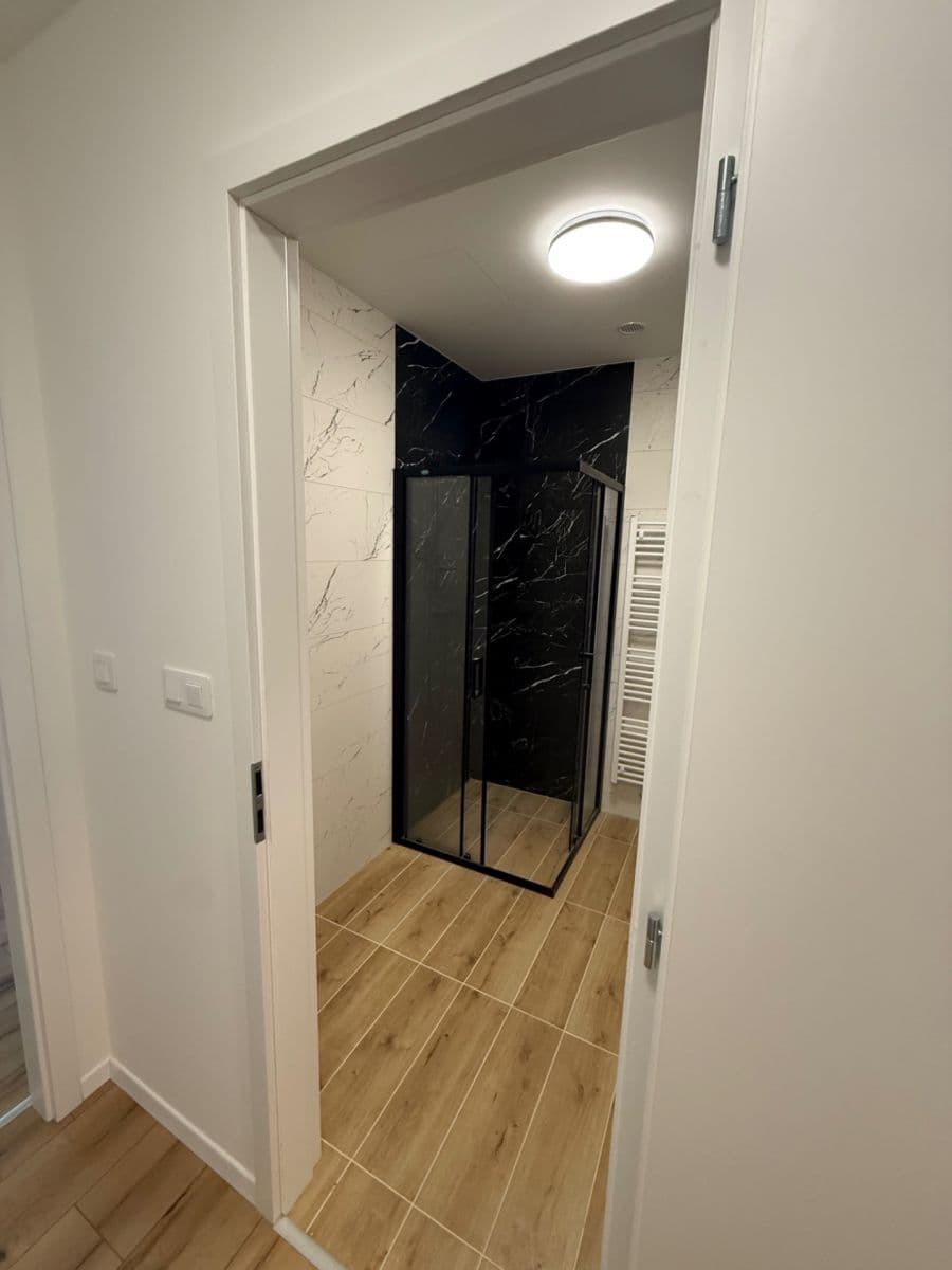 1 bedroom with open-plan kitchen flat to rent, 50 m², Blatného, Brno, Jihomoravský Region 1 bedroom with open-plan kitchen flat to rent, 50 m², Blatného, Brno, Jihomoravský Region