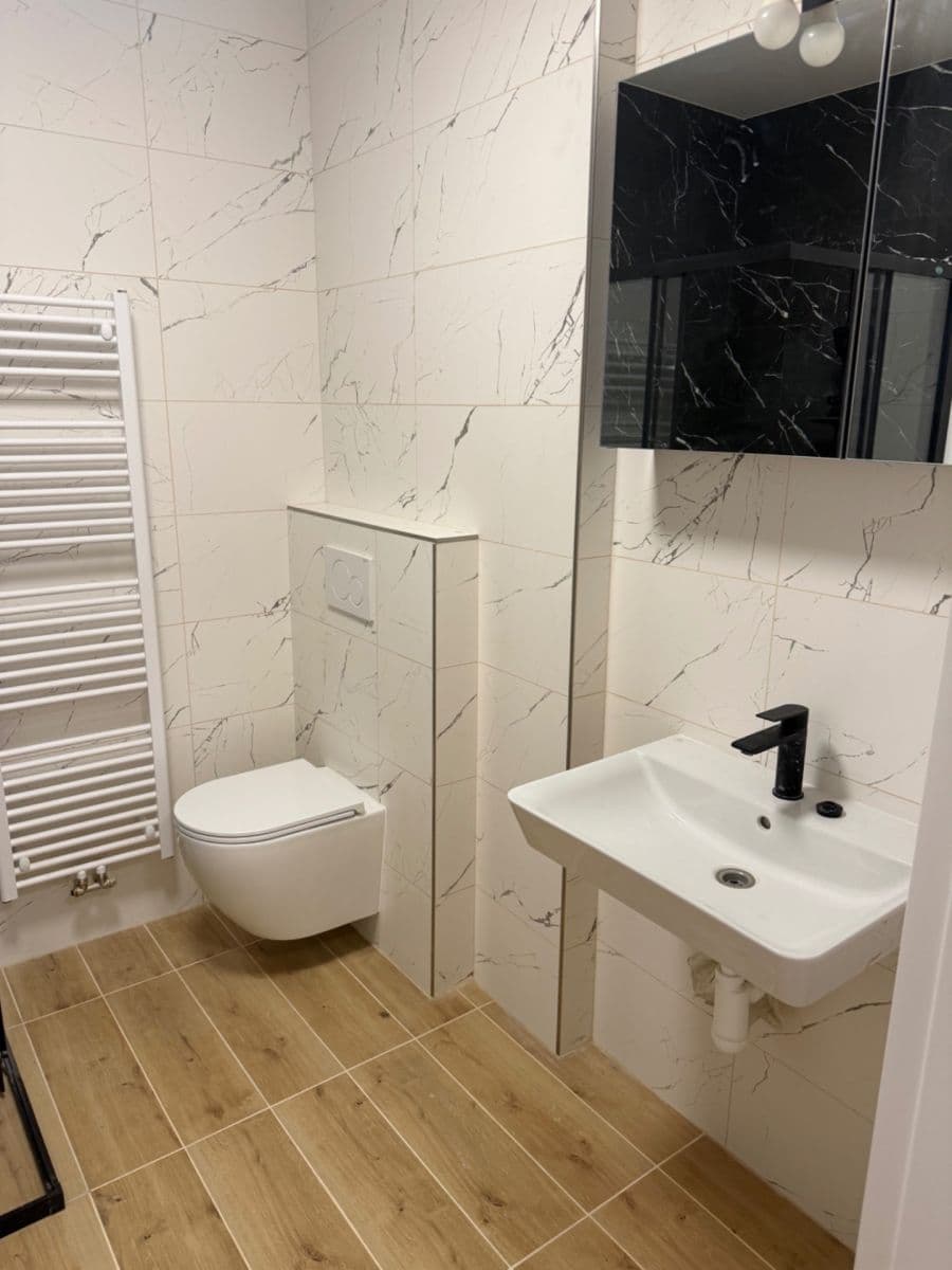 1 bedroom with open-plan kitchen flat to rent, 50 m², Blatného, Brno, Jihomoravský Region 1 bedroom with open-plan kitchen flat to rent, 50 m², Blatného, Brno, Jihomoravský Region