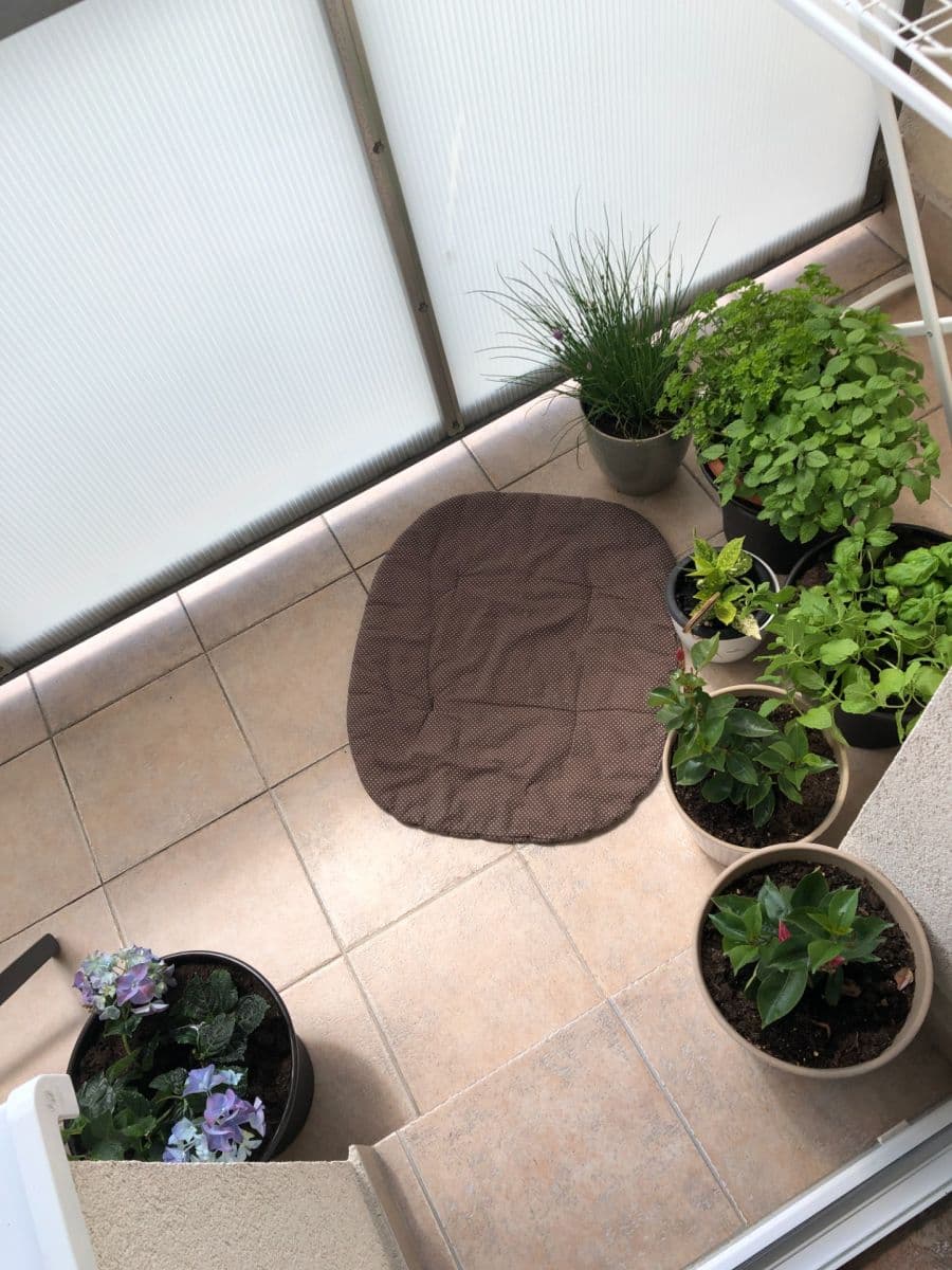 3 bedroom flat to rent, 80 m², Smetanova, Bílovec, Moravskoslezský Region 3 bedroom flat to rent, 80 m², Smetanova, Bílovec, Moravskoslezský Region