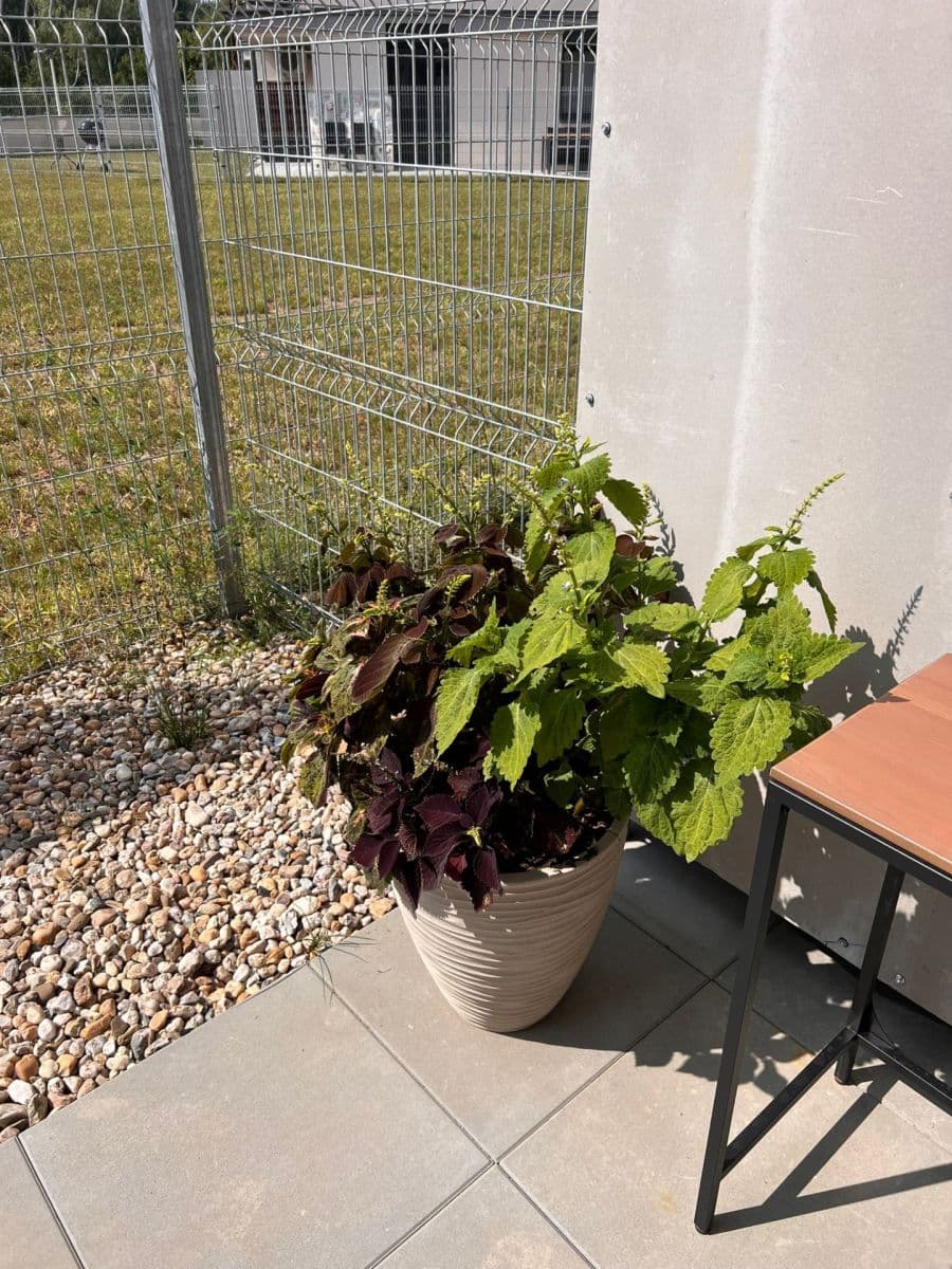 1 bedroom with open-plan kitchen flat for sale, 62 m², Augustina Lukeše, Brandýs nad Labem-Stará Boleslav, Středočeský Region 1 bedroom with open-plan kitchen flat for sale, 62 m², Augustina Lukeše, Brandýs nad Labem-Stará Boleslav, Středočeský Region