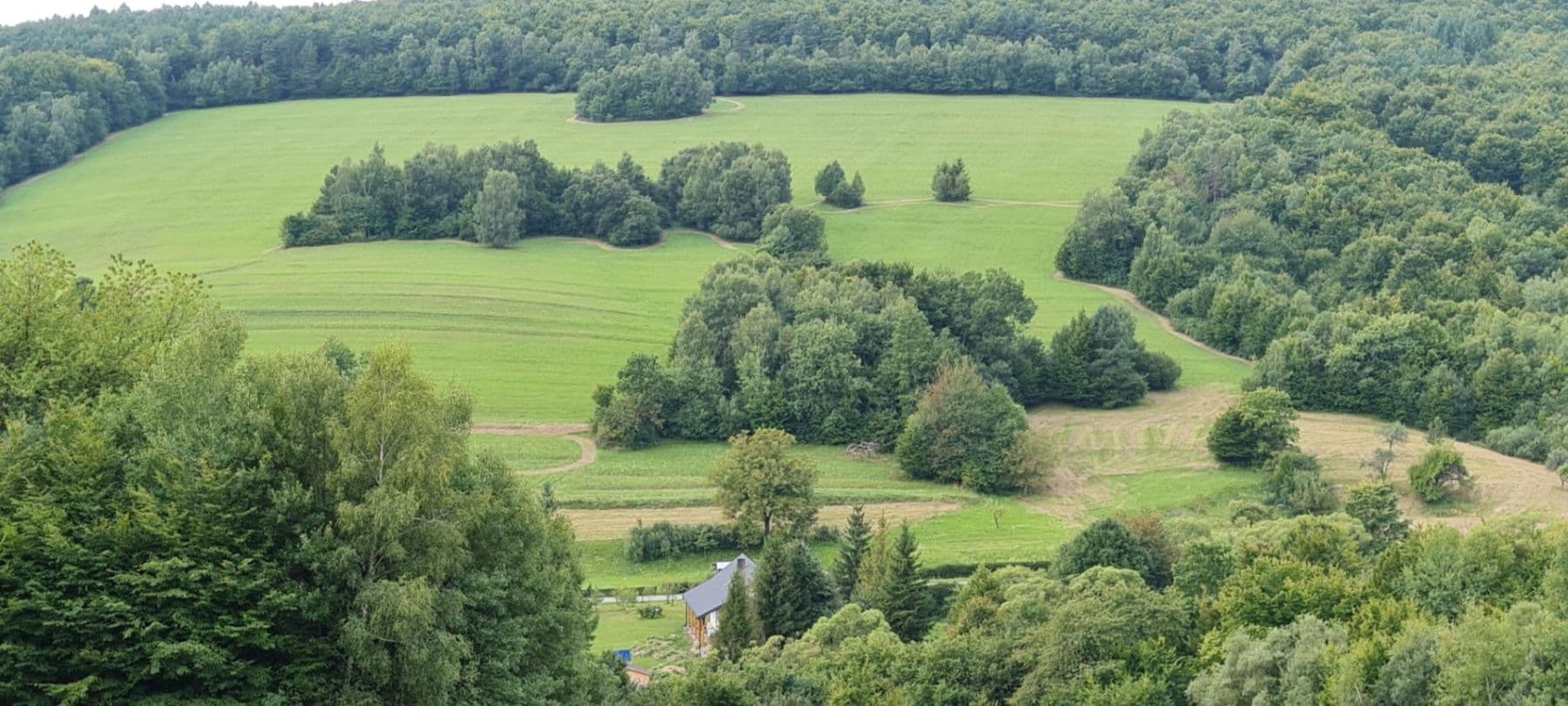 plot for sale, 3,131 m², Vyšná Pisaná, Prešovský Region plot for sale, 3,131 m², Vyšná Pisaná, Prešovský Region