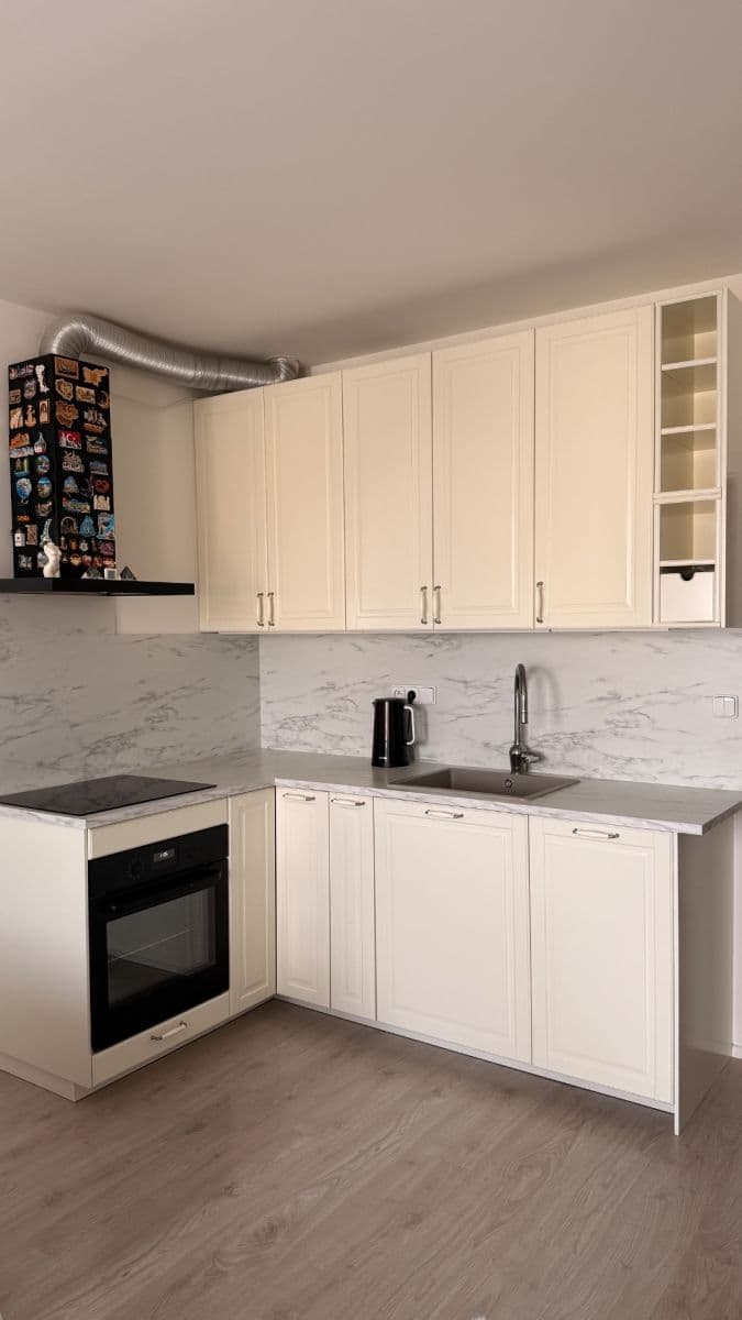 1 bedroom with open-plan kitchen flat to rent, 52 m², Havlenova, Brno, Jihomoravský Region 1 bedroom with open-plan kitchen flat to rent, 52 m², Havlenova, Brno, Jihomoravský Region