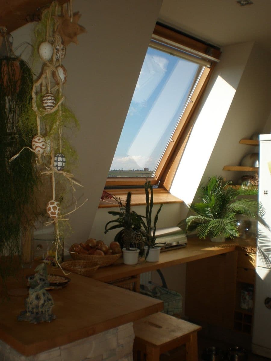 3 bedroom with open-plan kitchen flat for sale, 103 m², Dygrýnova, Prague, Prague 3 bedroom with open-plan kitchen flat for sale, 103 m², Dygrýnova, Prague, Prague