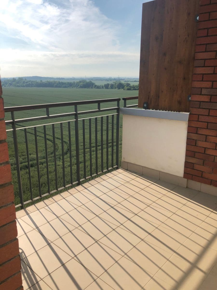 1 bedroom with open-plan kitchen flat to rent, 46 m², Kryšpínova, Prague, Prague 1 bedroom with open-plan kitchen flat to rent, 46 m², Kryšpínova, Prague, Prague