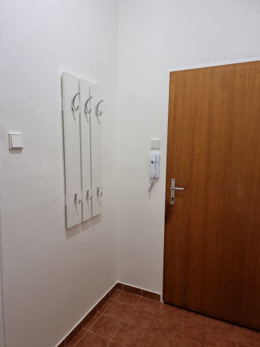 1 bedroom with open-plan kitchen flat to rent, 38 m², Krokova, Prague, Prague 1 bedroom with open-plan kitchen flat to rent, 38 m², Krokova, Prague, Prague