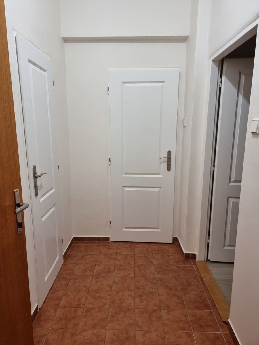 1 bedroom with open-plan kitchen flat to rent, 38 m², Krokova, Prague, Prague 1 bedroom with open-plan kitchen flat to rent, 38 m², Krokova, Prague, Prague