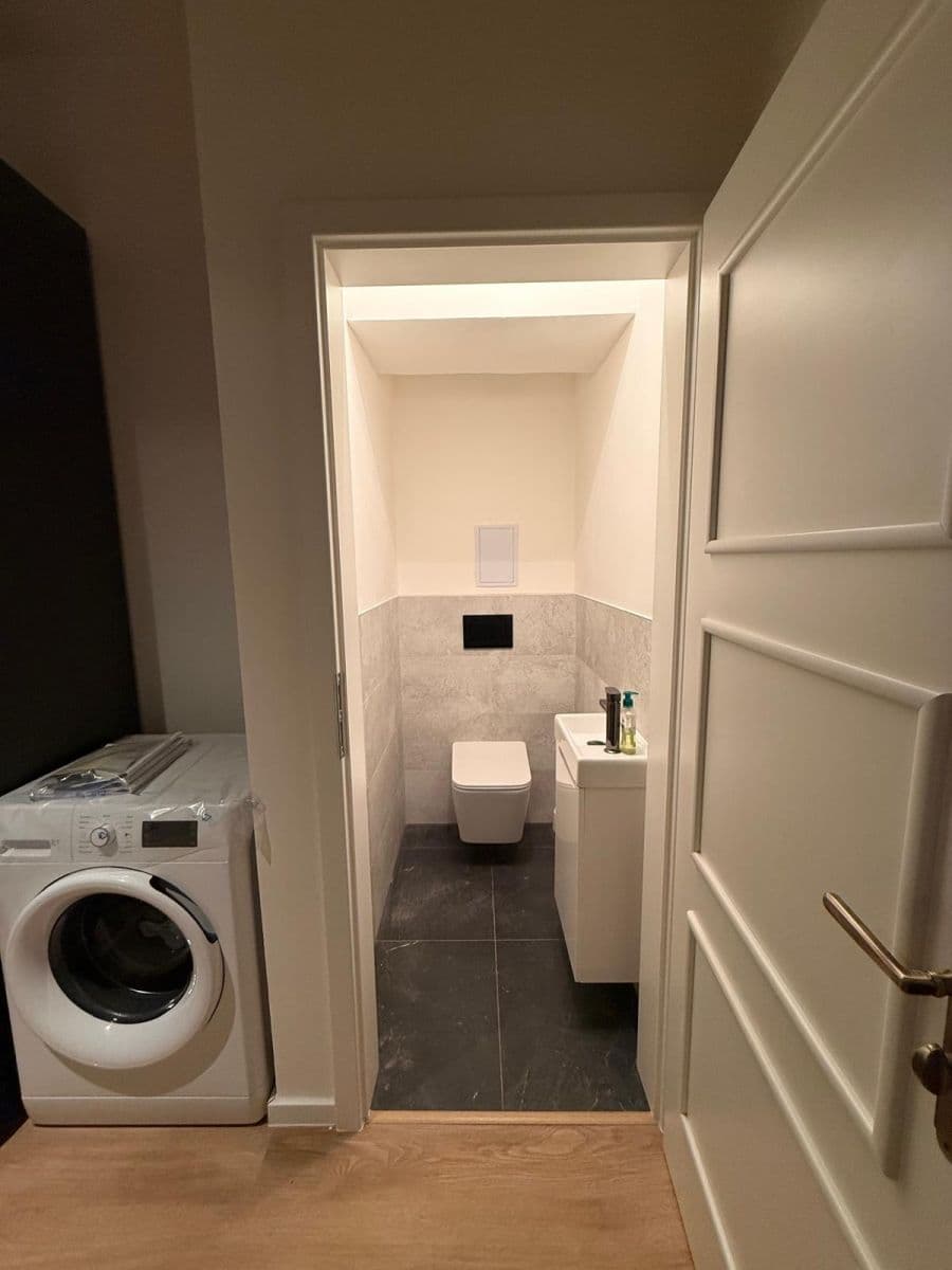 1 bedroom with open-plan kitchen flat to rent, 44 m², Chlumova, Prague, Prague 1 bedroom with open-plan kitchen flat to rent, 44 m², Chlumova, Prague, Prague