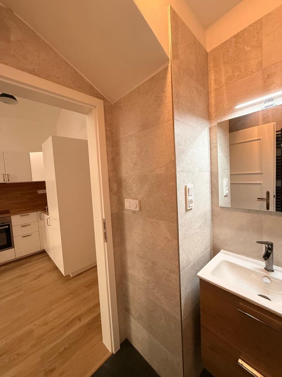 1 bedroom with open-plan kitchen flat to rent, 44 m², Chlumova, Prague, Prague 1 bedroom with open-plan kitchen flat to rent, 44 m², Chlumova, Prague, Prague