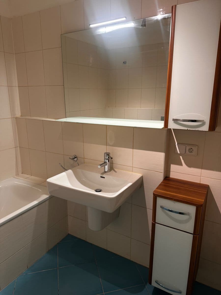 1 bedroom with open-plan kitchen flat to rent, 68 m², Na Srážku, Prague, Prague 1 bedroom with open-plan kitchen flat to rent, 68 m², Na Srážku, Prague, Prague