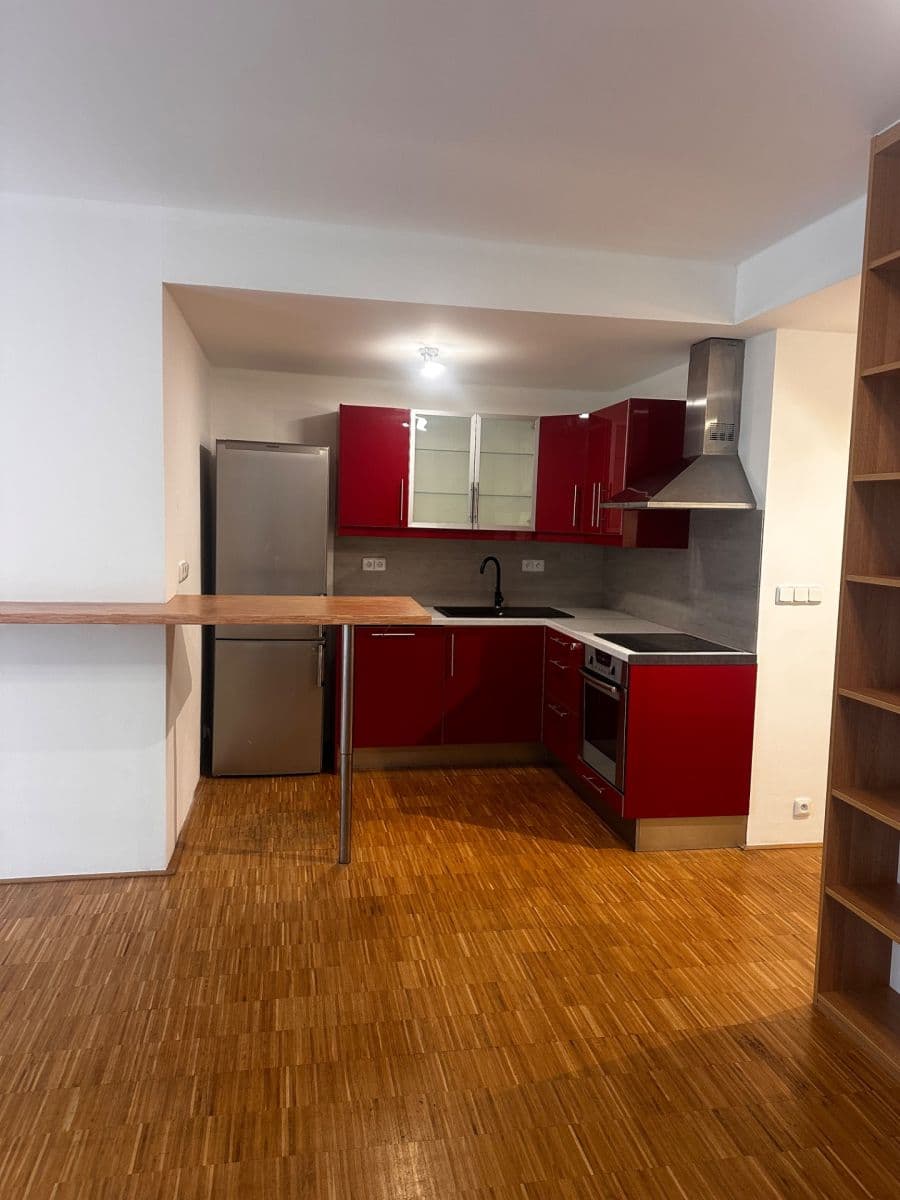 1 bedroom with open-plan kitchen flat to rent, 68 m², Na Srážku, Prague, Prague 1 bedroom with open-plan kitchen flat to rent, 68 m², Na Srážku, Prague, Prague
