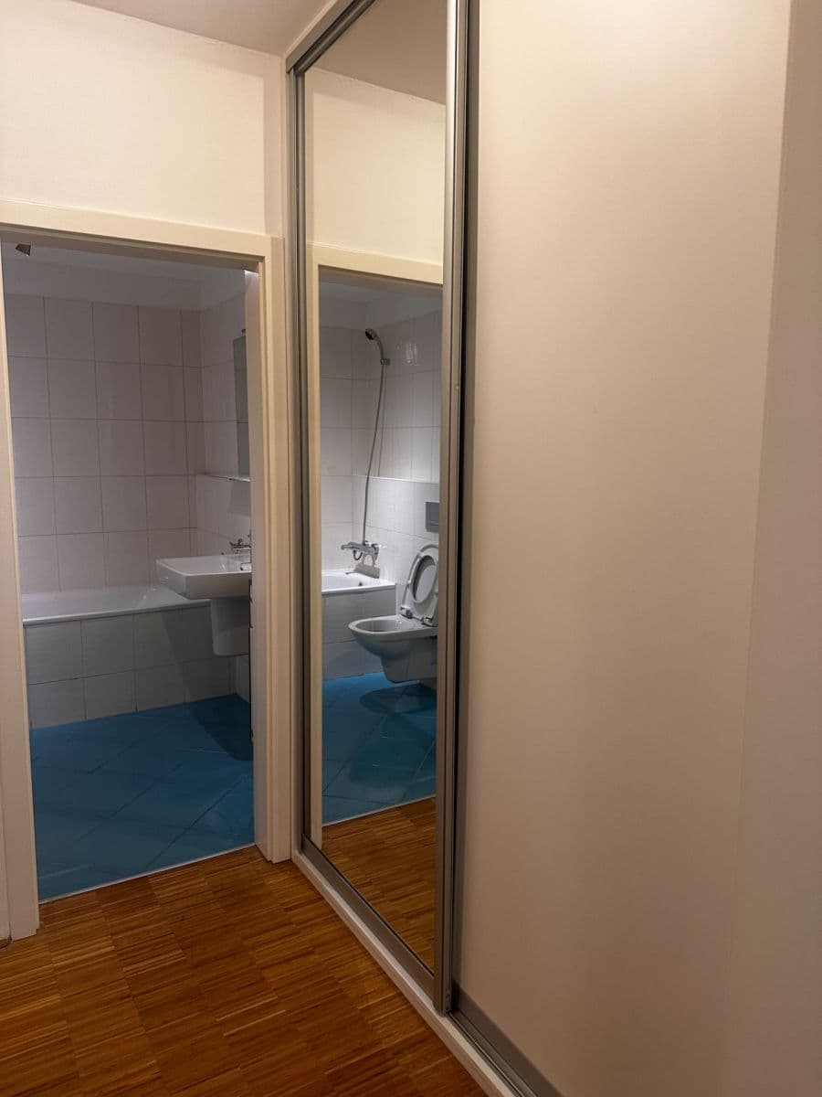 1 bedroom with open-plan kitchen flat to rent, 68 m², Na Srážku, Prague, Prague 1 bedroom with open-plan kitchen flat to rent, 68 m², Na Srážku, Prague, Prague