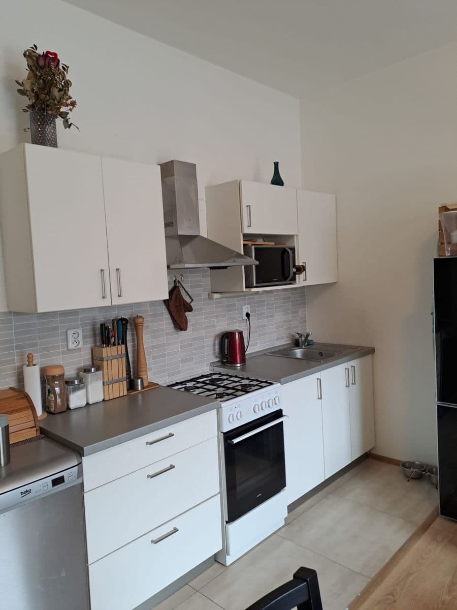 1 bedroom with open-plan kitchen flat to rent, 49 m², Veslařská, Brno, Jihomoravský Region 1 bedroom with open-plan kitchen flat to rent, 49 m², Veslařská, Brno, Jihomoravský Region