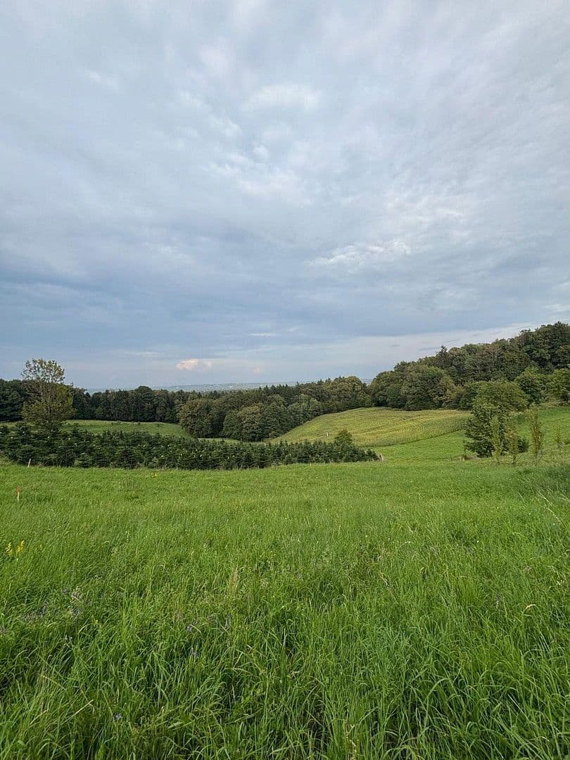 plot for sale, 1,375 m², Maxlonerstraße, Maxlon, Styria plot for sale, 1,375 m², Maxlonerstraße, Maxlon, Styria