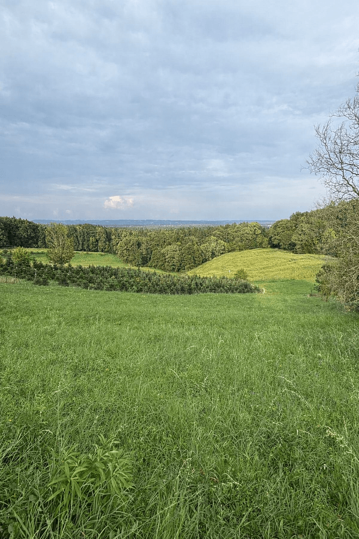 plot for sale, 1,375 m², Maxlonerstraße, Maxlon, Styria plot for sale, 1,375 m², Maxlonerstraße, Maxlon, Styria