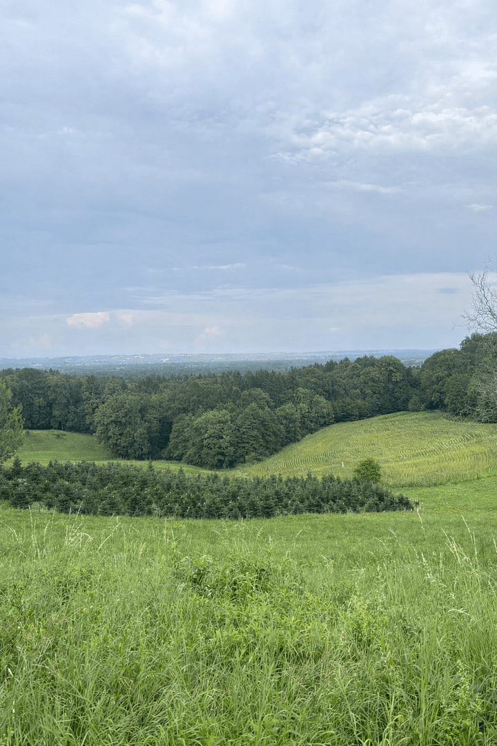 plot for sale, 1,375 m², Maxlonerstraße, Maxlon, Styria plot for sale, 1,375 m², Maxlonerstraße, Maxlon, Styria