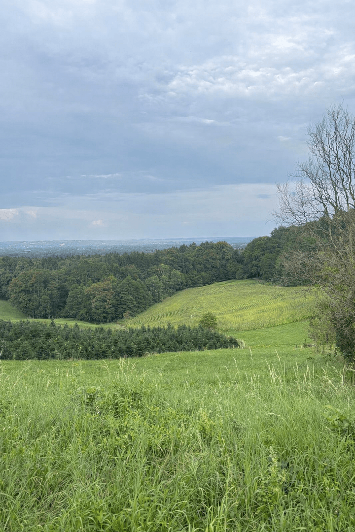 plot for sale, 1,375 m², Maxlonerstraße, Maxlon, Styria plot for sale, 1,375 m², Maxlonerstraße, Maxlon, Styria