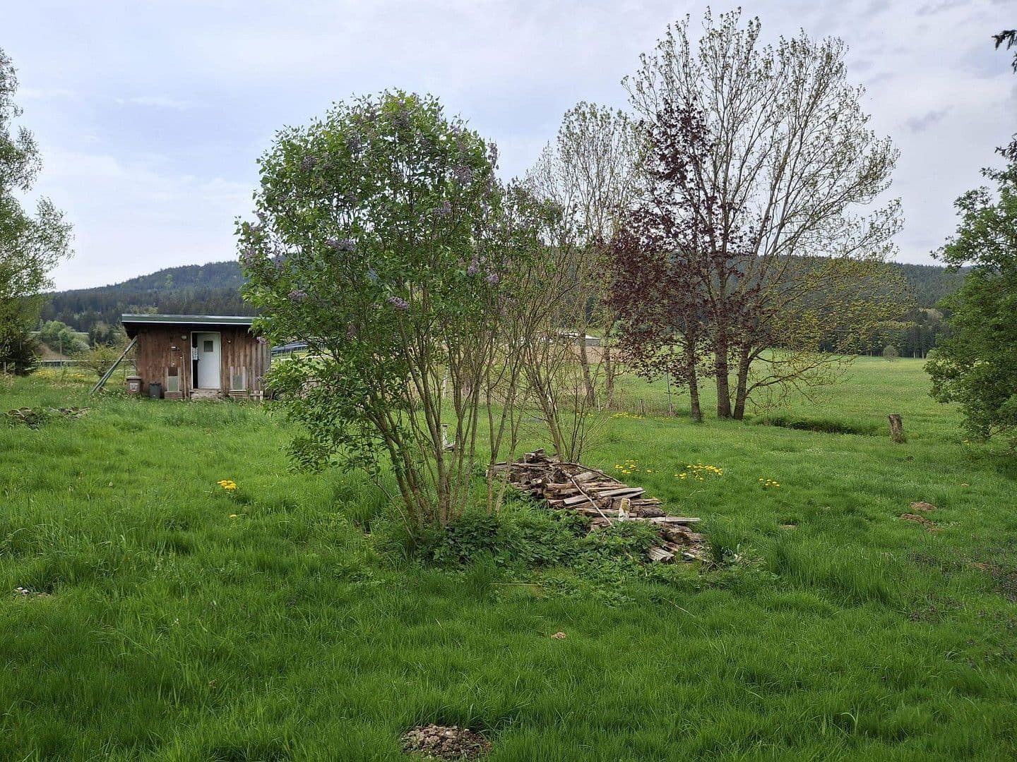 house for sale, 144 m², Regen, Bavaria house for sale, 144 m², Regen, Bavaria