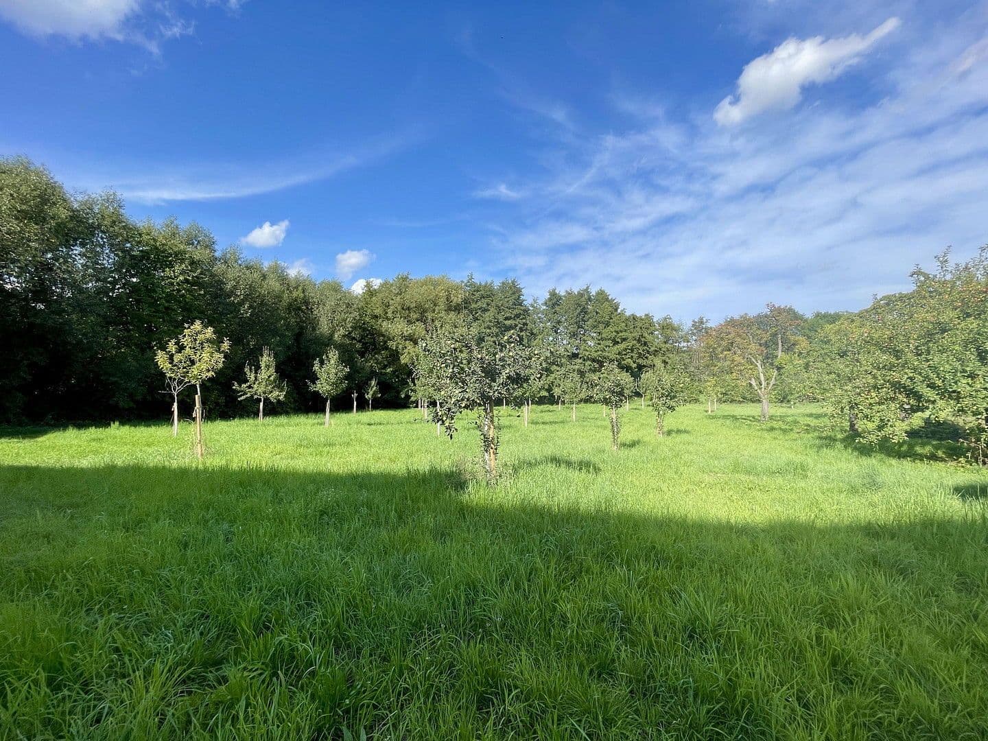 2 bedroom flat for sale, 45 m², Kronberg im Taunus, Hesse 2 bedroom flat for sale, 45 m², Kronberg im Taunus, Hesse