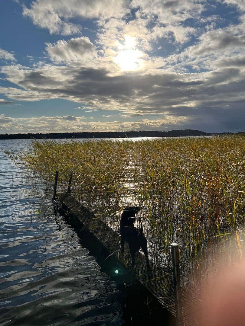 house to rent, 204 m², Sterley, Schleswig-Holstein house to rent, 204 m², Sterley, Schleswig-Holstein