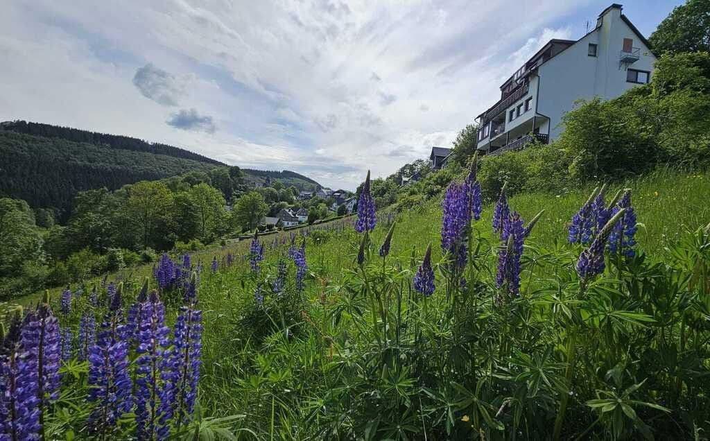 3 bedroom flat for sale, 74 m², Schmallenberg, North Rhine-Westphalia 3 bedroom flat for sale, 74 m², Schmallenberg, North Rhine-Westphalia