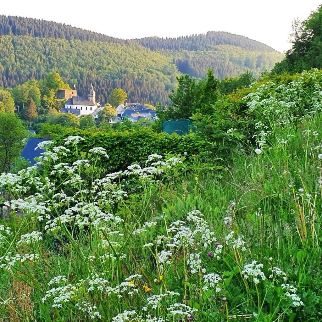 3 bedroom flat for sale, 74 m², Schmallenberg, North Rhine-Westphalia 3 bedroom flat for sale, 74 m², Schmallenberg, North Rhine-Westphalia