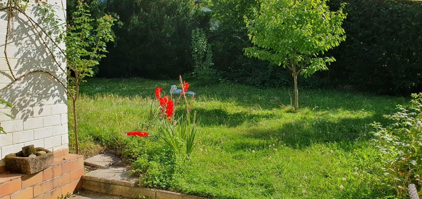 house for sale, 230 m², Freiburg im Breisgau, Baden-Württemberg house for sale, 230 m², Freiburg im Breisgau, Baden-Württemberg