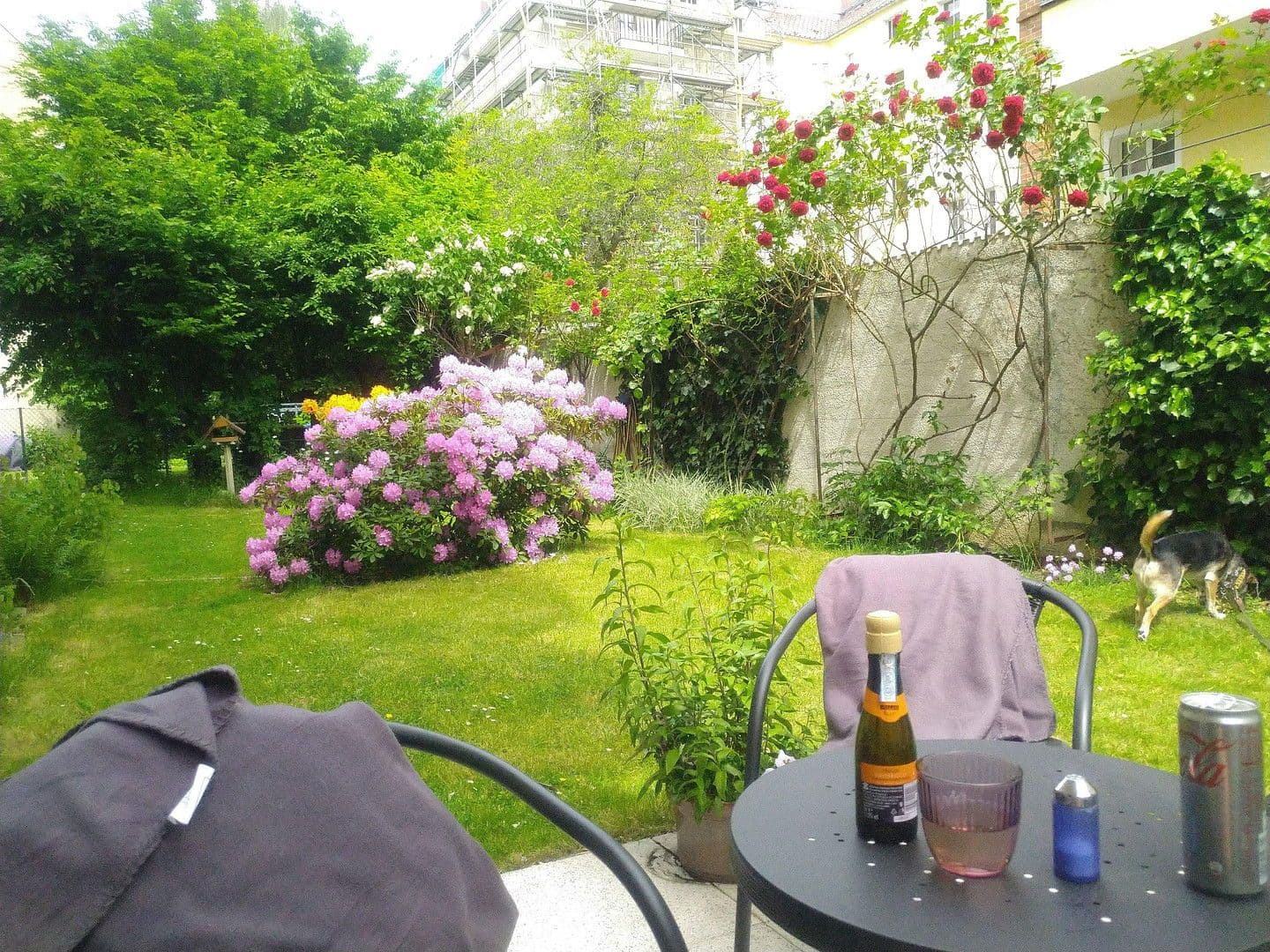 2 bedroom flat for sale, 47 m², Berlin, Berlin 2 bedroom flat for sale, 47 m², Berlin, Berlin