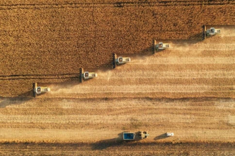 plot for sale, 2,310,020 m², Waidhaus, Bavaria plot for sale, 2,310,020 m², Waidhaus, Bavaria