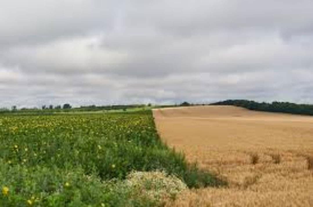 plot for sale, 2,310,020 m², Waidhaus, Bavaria plot for sale, 2,310,020 m², Waidhaus, Bavaria