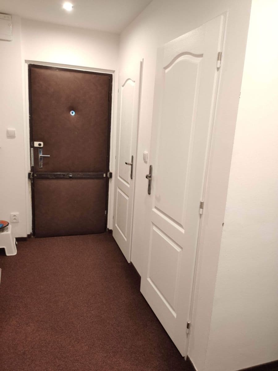 1 bedroom with open-plan kitchen flat to rent, 43 m², Doubravická, Prague, Prague 1 bedroom with open-plan kitchen flat to rent, 43 m², Doubravická, Prague, Prague