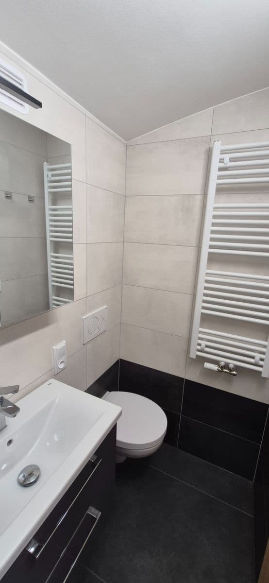 1 bedroom with open-plan kitchen flat to rent, 50 m², Voroněžská, Prague, Prague 1 bedroom with open-plan kitchen flat to rent, 50 m², Voroněžská, Prague, Prague