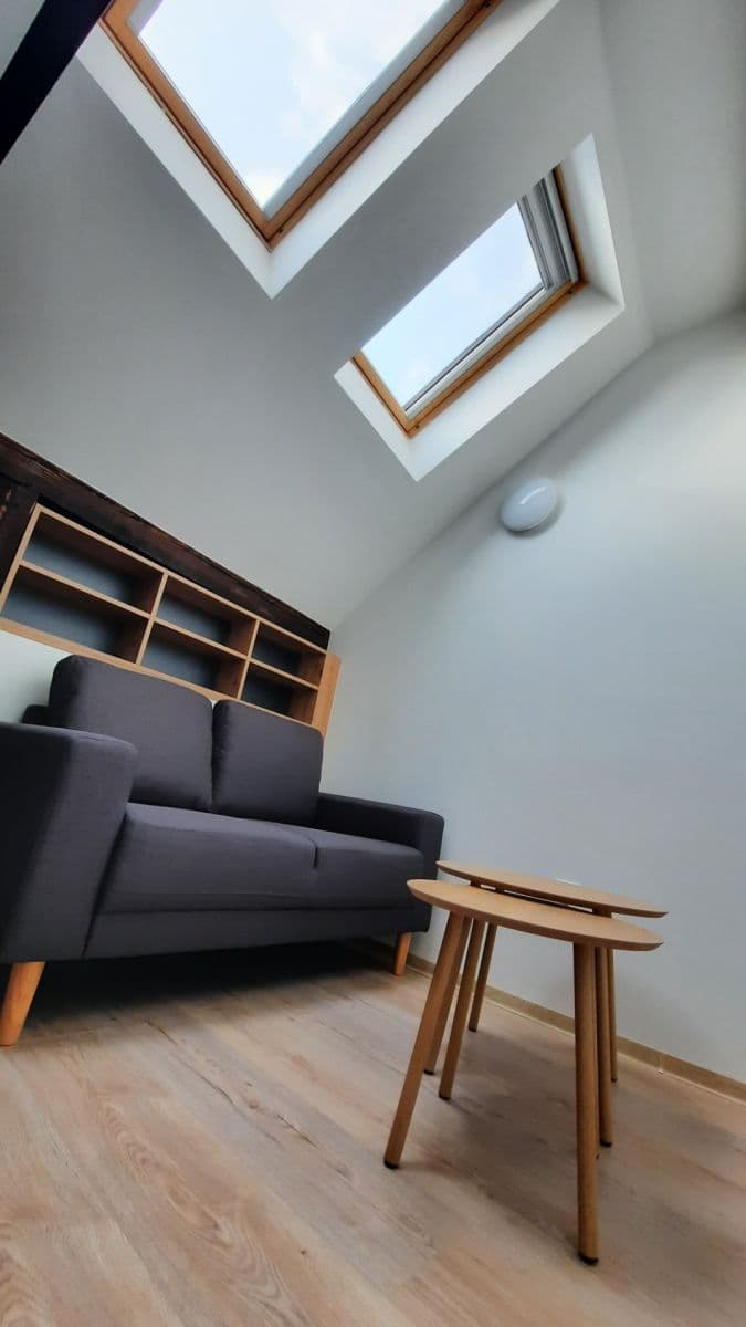 1 bedroom with open-plan kitchen flat to rent, 36 m², Francouzská, Brno, Jihomoravský Region 1 bedroom with open-plan kitchen flat to rent, 36 m², Francouzská, Brno, Jihomoravský Region