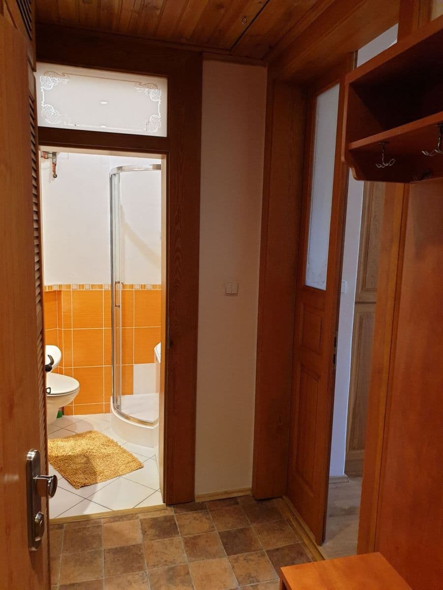 1 bedroom with open-plan kitchen flat to rent, 53 m², Arbesovo náměstí, Prague, Prague 1 bedroom with open-plan kitchen flat to rent, 53 m², Arbesovo náměstí, Prague, Prague