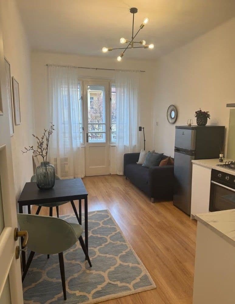 1 bedroom with open-plan kitchen flat to rent, 44 m², náměstí Dr. Václava Holého, Prague, Prague 1 bedroom with open-plan kitchen flat to rent, 44 m², náměstí Dr. Václava Holého, Prague, Prague