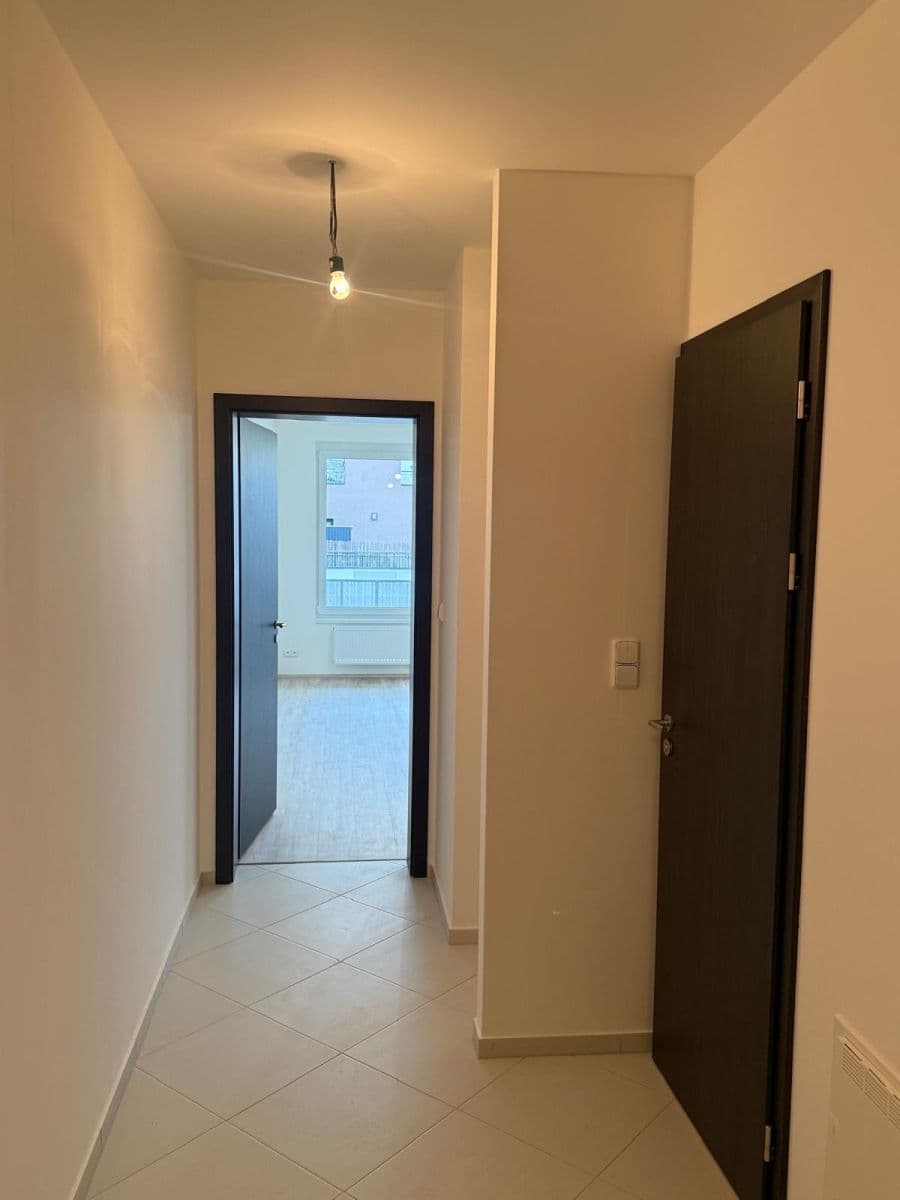 1 bedroom with open-plan kitchen flat for sale, 47 m², Honzíkova, Prague, Prague 1 bedroom with open-plan kitchen flat for sale, 47 m², Honzíkova, Prague, Prague