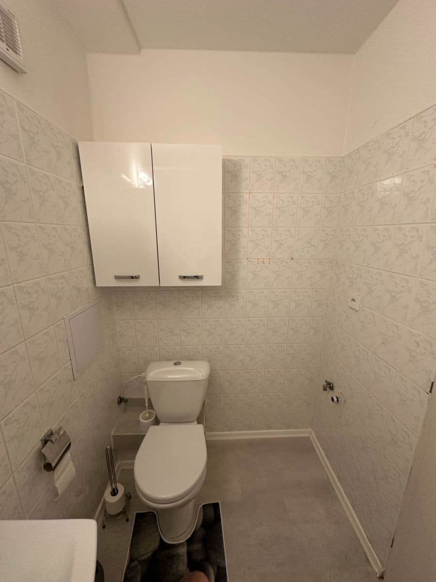 2 bedroom with open-plan kitchen flat to rent, 50 m², Luštěnice, Středočeský Region 2 bedroom with open-plan kitchen flat to rent, 50 m², Luštěnice, Středočeský Region