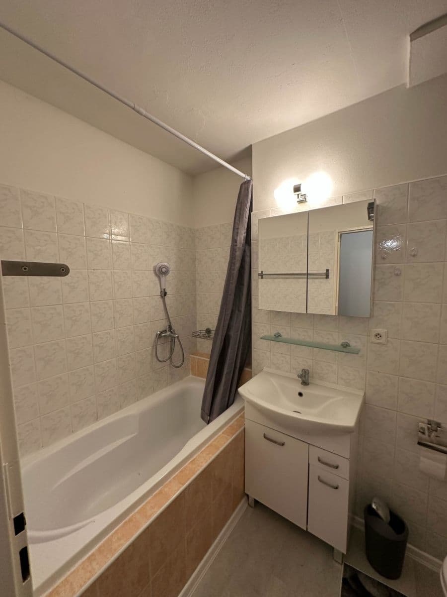 2 bedroom with open-plan kitchen flat to rent, 50 m², Luštěnice, Středočeský Region 2 bedroom with open-plan kitchen flat to rent, 50 m², Luštěnice, Středočeský Region