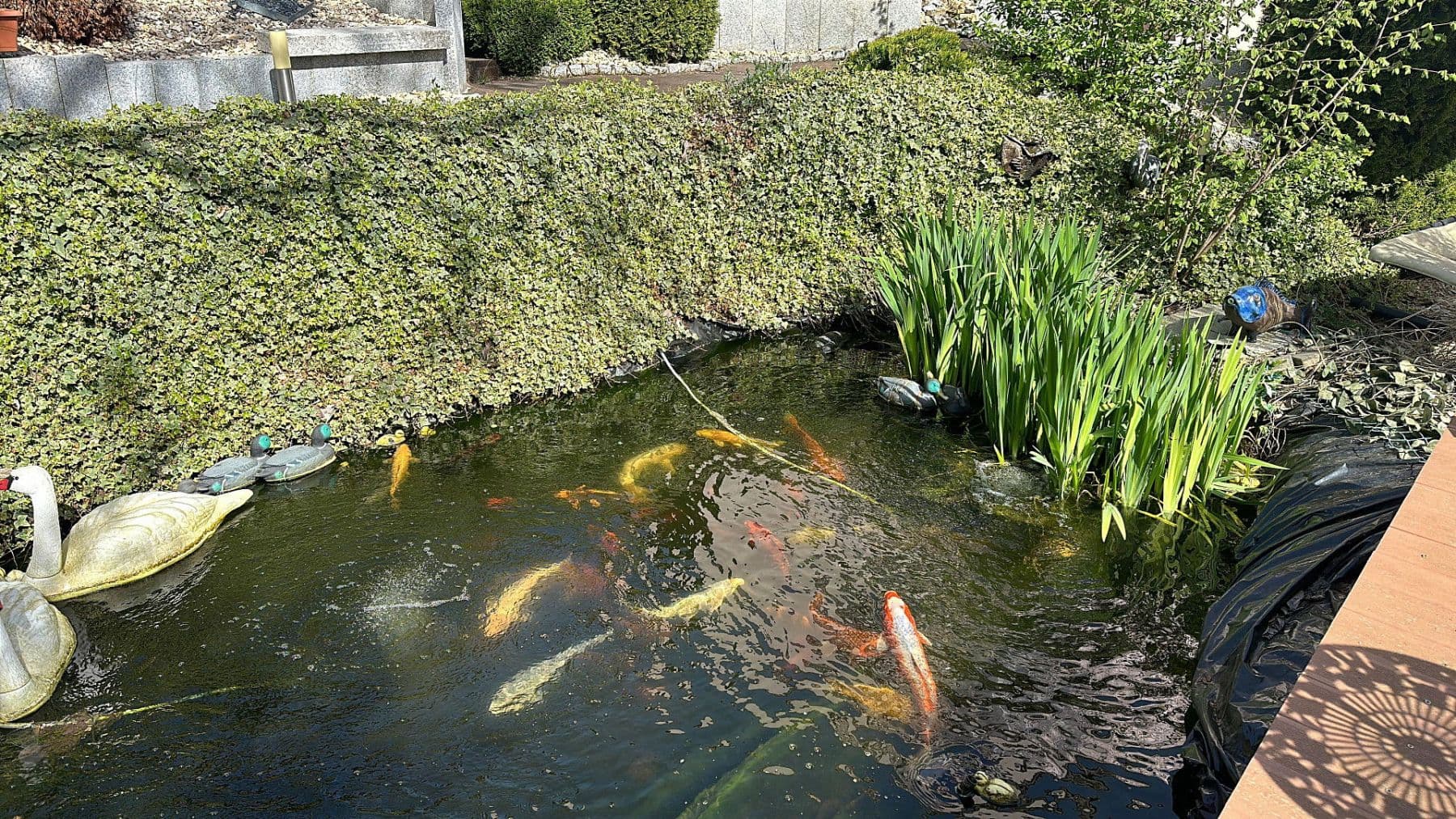 house for sale, 387 m², Rießstraße 20, BW, Magstadt, Baden-Württemberg house for sale, 387 m², Rießstraße 20, BW, Magstadt, Baden-Württemberg