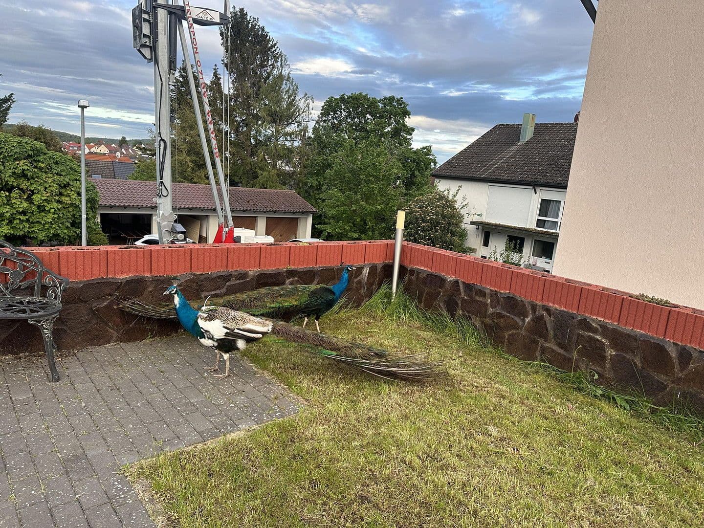 house for sale, 387 m², Rießstraße 20, BW, Magstadt, Baden-Württemberg house for sale, 387 m², Rießstraße 20, BW, Magstadt, Baden-Württemberg