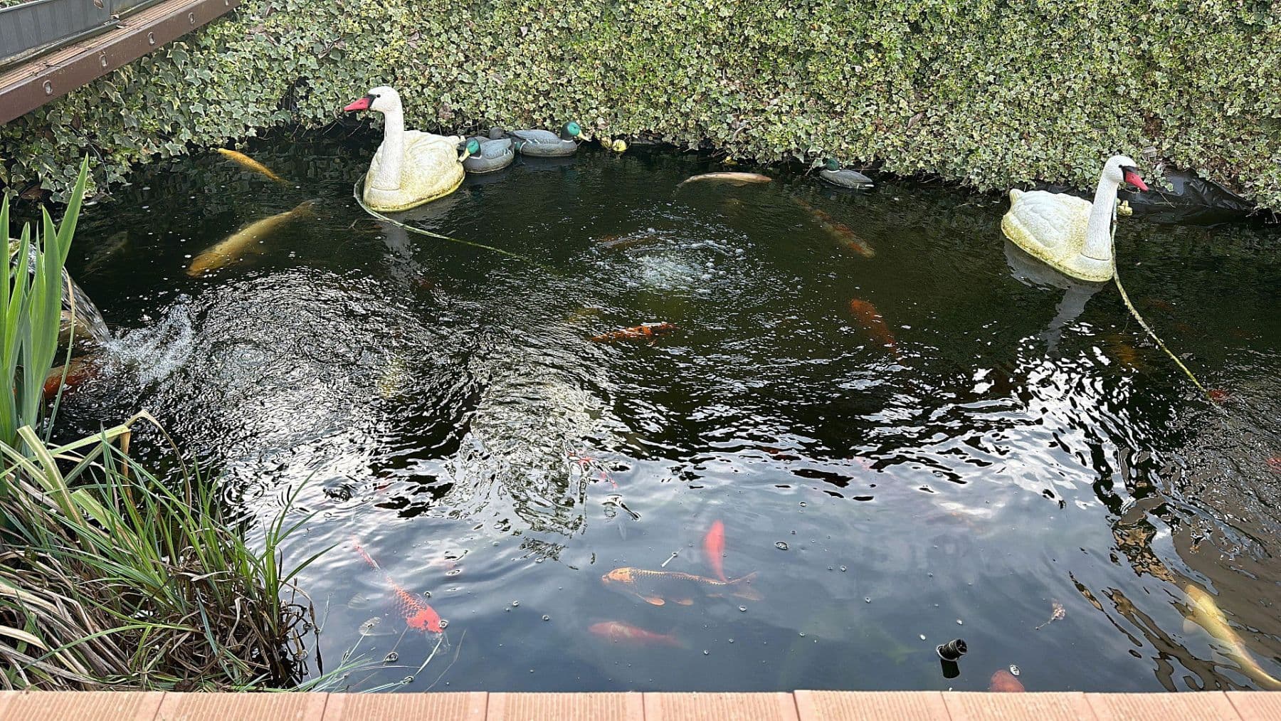 house for sale, 387 m², Rießstraße 20, BW, Magstadt, Baden-Württemberg house for sale, 387 m², Rießstraße 20, BW, Magstadt, Baden-Württemberg