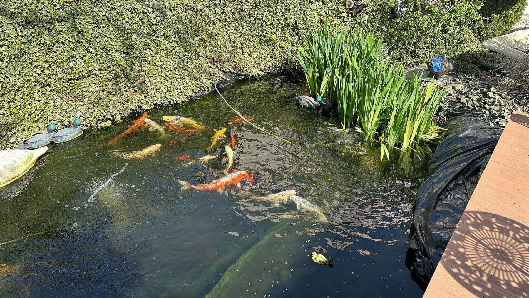 house for sale, 387 m², Rießstraße 20, BW, Magstadt, Baden-Württemberg house for sale, 387 m², Rießstraße 20, BW, Magstadt, Baden-Württemberg