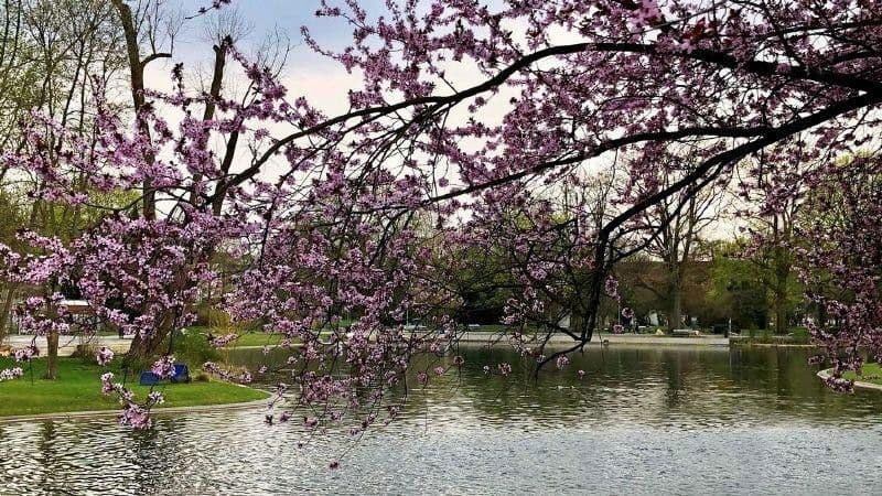 3 bedroom flat for sale, 88 m², Maxfeldstr. 48, Nürnberg, Bavaria 3 bedroom flat for sale, 88 m², Maxfeldstr. 48, Nürnberg, Bavaria