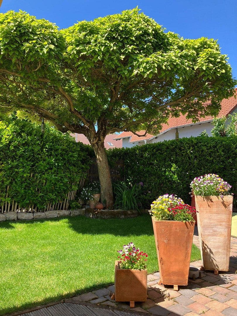 house for sale, 162 m², Udenheim, Rhineland-Palatinate house for sale, 162 m², Udenheim, Rhineland-Palatinate